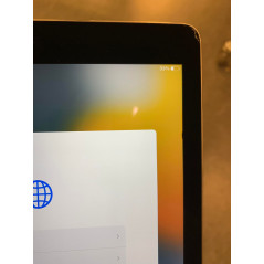 iPad Air 2 64GB space grey (brugt with damage*)