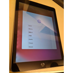 Billig tablet - iPad (2017) 5th 128GB Space Grey (bleeding på LCD*)