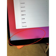 iPad-tablet - iPad Air 3 256GB 4G LTE Space Gray (brugt med linjer af pixels på skærmen)