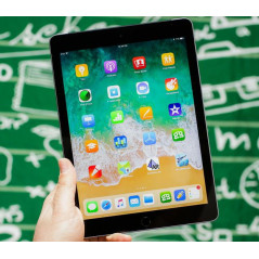 iPad (2018) 6th gen 128GB 4G LTE Space Gray (brugt)
