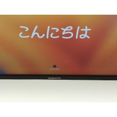 Brugt MacBook Pro - MacBook Pro 16-tommer 2019 i7-9750H 16GB 512GB SSD Silver (brugt med mærke skærm)