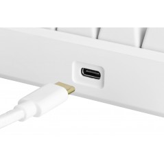 Baggrundsbelyst gamingtastatur - Deltaco GAM-075-W superkompakt 60 % gamingtastatur med RGB-belysning