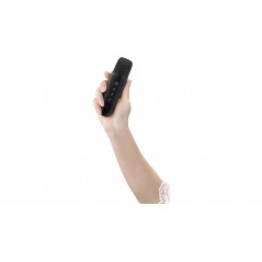 Trådløse bluetooth-højttalere - Andersson bærbar højttaler med trådløs mikrofon til karaoke