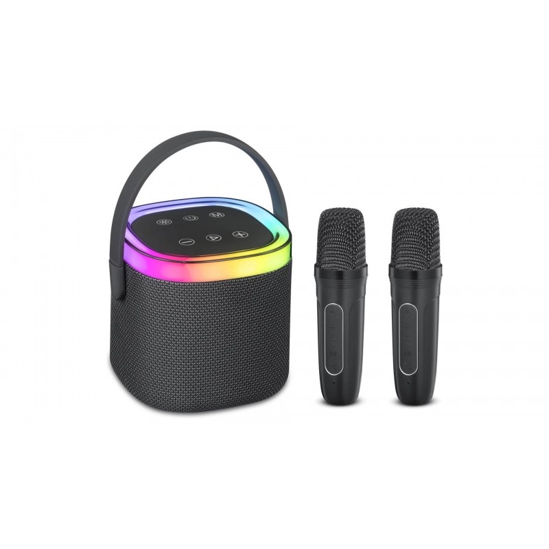 Trådløse bluetooth-højttalere - Andersson bærbar højttaler med 2 trådløse mikrofoner til karaoke
