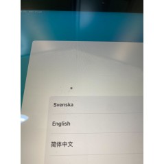 Apple iPad 8th Gen (2020) 10.2" 128GB Wi-Fi + 4G Space Gray (brugt med pixel*)