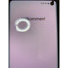 Samsung Galaxy S10 128GB Dual SIM Prism Sort (brugt) (døde pixels)