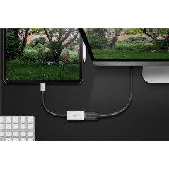 TV og lyd - Goobay USB-C til HDMI-adapter 8K ved 30 Hz / 4K ved 120 Hz