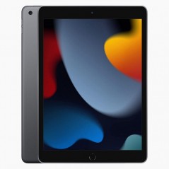 iPad 2021 (9. generation) 10,2" 64 GB Wi-Fi Space Gray (brugt med hjem-knappen trykket ned)