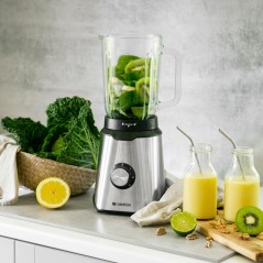 Champion CHBL310 blender, 1,5 liter og 600 W