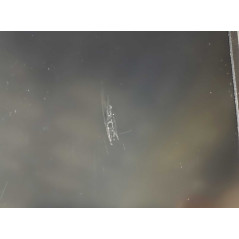 Brugt laptop 14" - HP ProBook 440 G6 14" Full HD i5 8 GB 256 SSD Win 11 Pro (brugt med mærke skærm og ridset chassis)