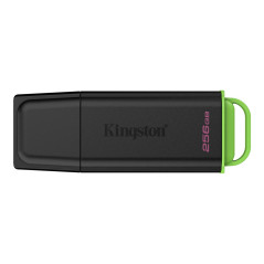 Kingston DataTraveler Exodia USB 3.2 Gen 1 USB-nøgle 256 GB