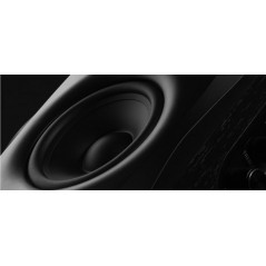 Højttalere - Swan D1010 IV højttaler