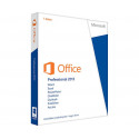 Microsoft Office 2013 Professional