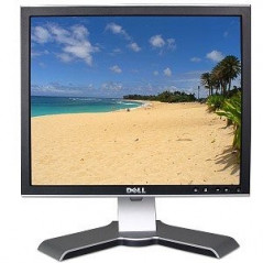 Dell LCD-skærm (BEG)