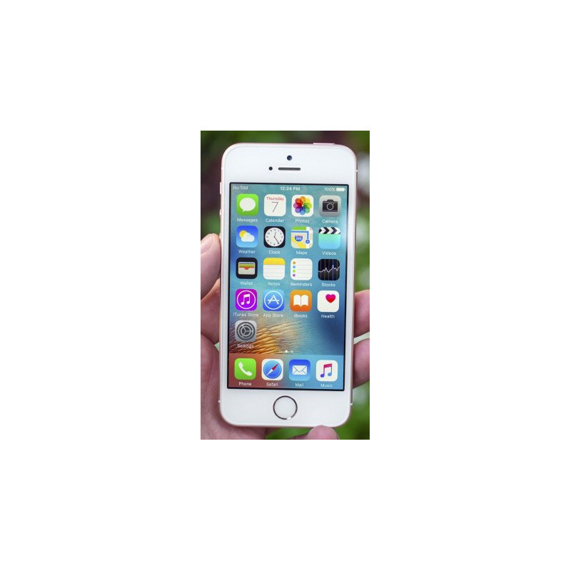 iPhone SE - iPhone SE (2016) 64GB Rosegold (brugt)