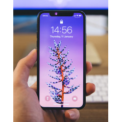Brugt iPhone - iPhone X 64GB Silver (Brugt)