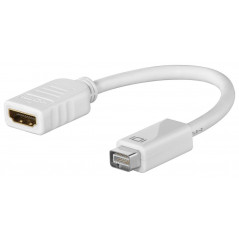 Mini DVI til HDMI-adapter