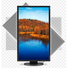 Brugte computerskærme - NEC MultiSync 27" LCD-skärm med IPS-panel (brugt)