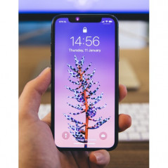 Brugt iPhone - iPhone XS Max 256GB Space grey (brugt)
