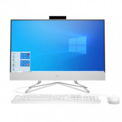 HP All-in-One 24-df0067nf